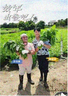 留言档案整理中的纸质留言卡